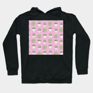 Green suculents in pink flowerpots on darker pink background Hoodie